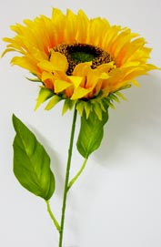 Sonnenblume 67cm